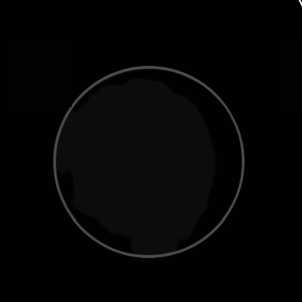 Bonjou Beauty Maximize Mascara Black