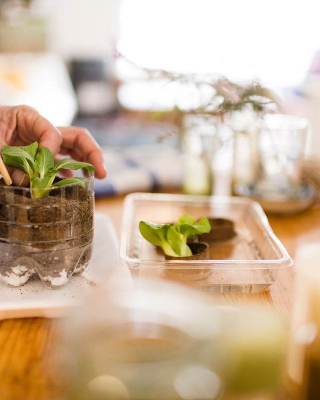 Eat and cook more sustainably