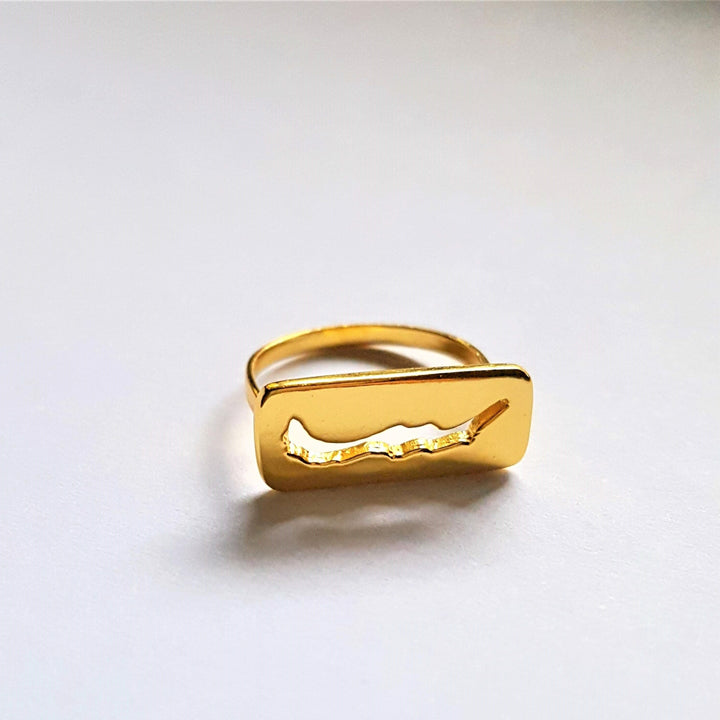 Joie Designs Savary Island ring in Gold